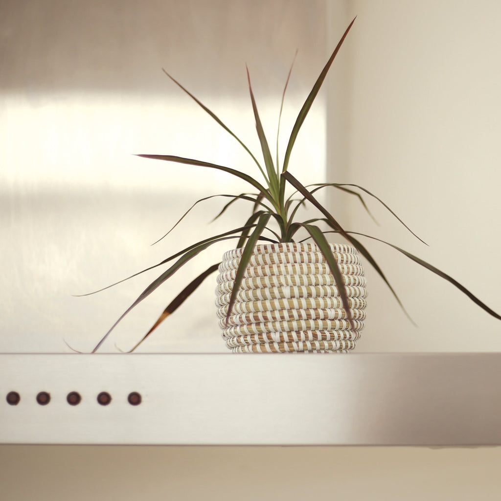 African Basket White jewelry BOX SMALL